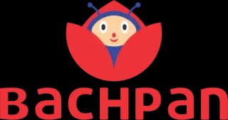 Bachpan Play School logo